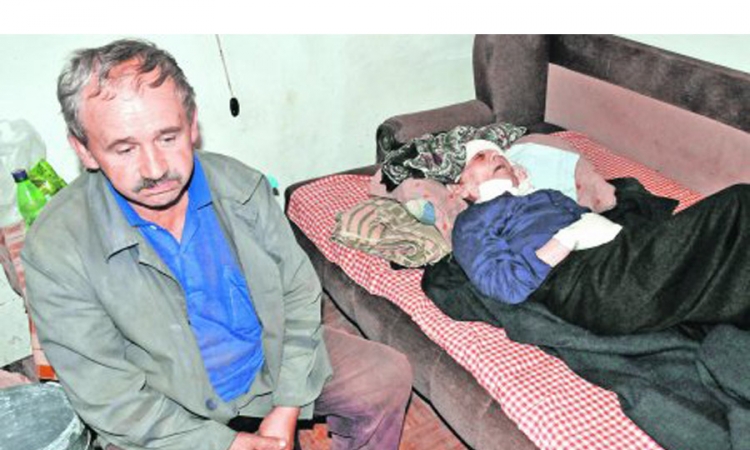 Prase upalo u sobu i odgrizlo starici prst i uvo