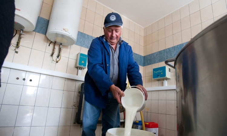 Mljekari u klin - institucije u ploču