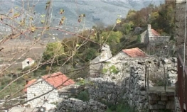 Rodno selo s nesrtpljenjem iščekuje Šešelja