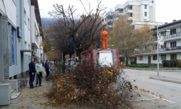 Uređivanje drvoreda u centru Foče