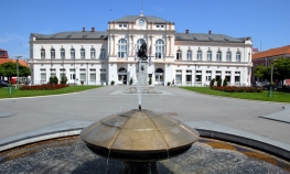 Drveće raste sporije od zgrada