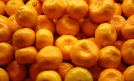 Smanjena prodaja mandarina u Foči