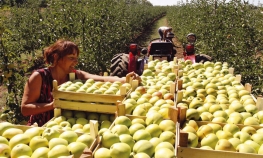 Rusija traži pojašnjenje od BiH: Objasnite odakle vam 100 puta više ...