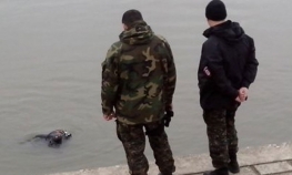 Tragedija: Šestoro mladih sletjelo u Dunav, troje se utopilo, troje ...