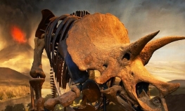 Otkrivena nova vrsta dinosaurusa?