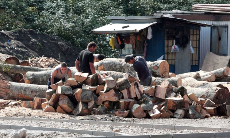Manja proizvodnja i prodaja šumskih sortimenata