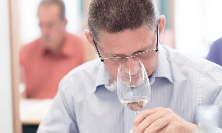 "Vinogradi Nuić" najbolji bh. proizvođači vina