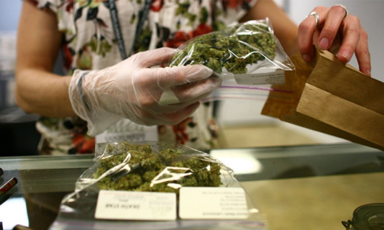 Hrvatska legalizuje marihuanu?