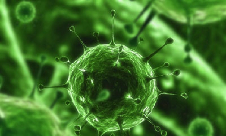 Od virusa H5N1 umrla djevojka