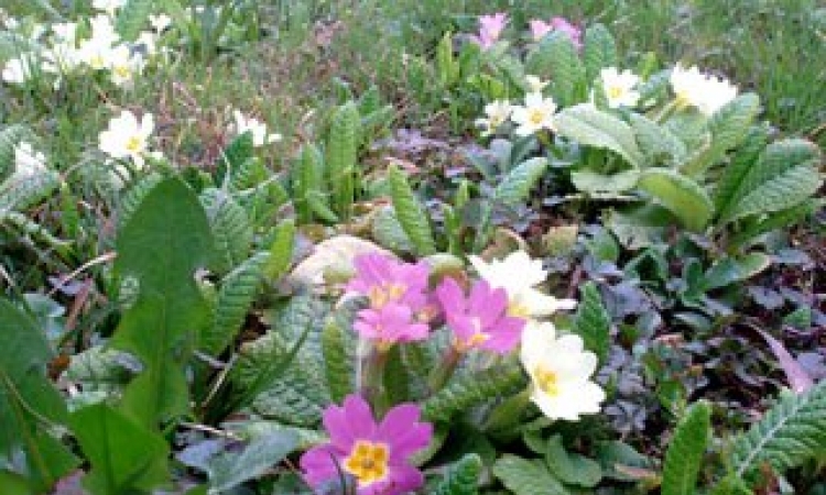 Sutra sunčano i hladno