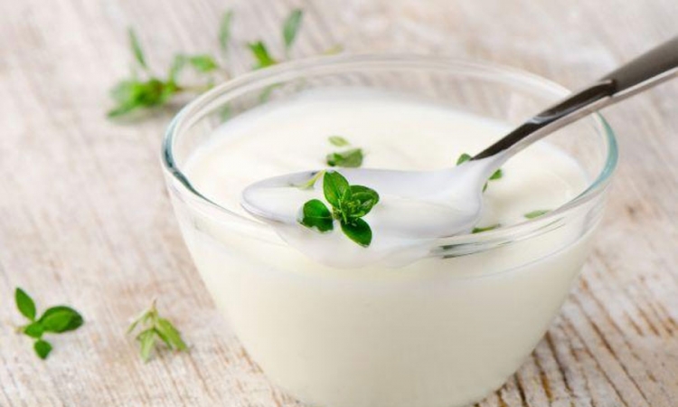 Napravite sami domaći jogurt