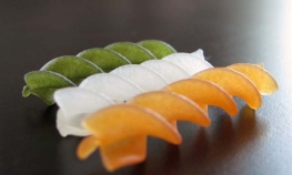 Japan povlači pakete smrznute paste zbog bubašvaba