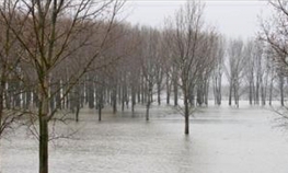 Poplave na sjeveru Grčke odnijele četiri života