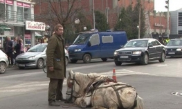 Brutalno pretukao konja u centru grada