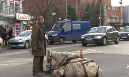 Krivična prijava zbog zlostavljanja konja