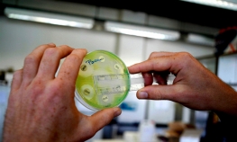  Otkriven tajanstveni virus