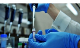 Naučnici "stvorili" spermatozoide i jajne ćelije