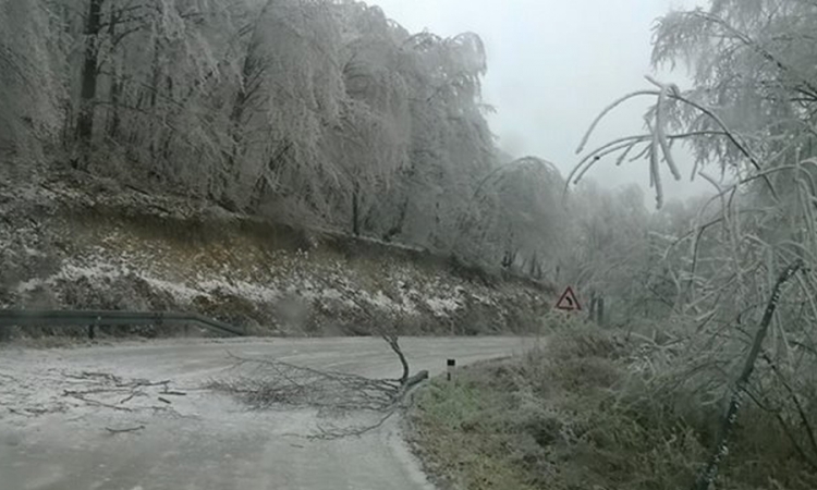 Bor okovan ledom, 10 povrijeđenih
