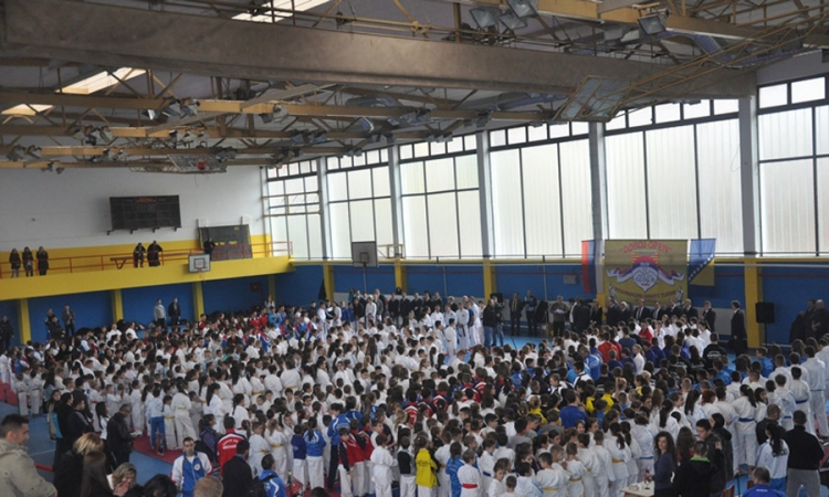 Bilećki karatisti osvojili 38 medalja u Doboju