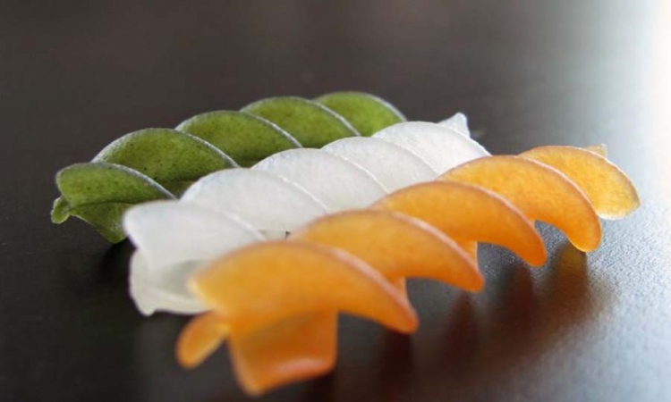 Japan povlači pakete smrznute paste zbog bubašvaba