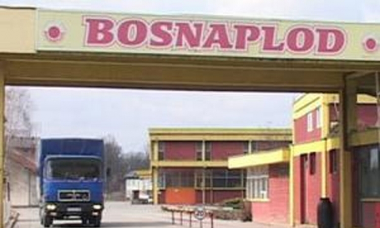 Turci zainteresovani za kupovinu "Bosnaploda"