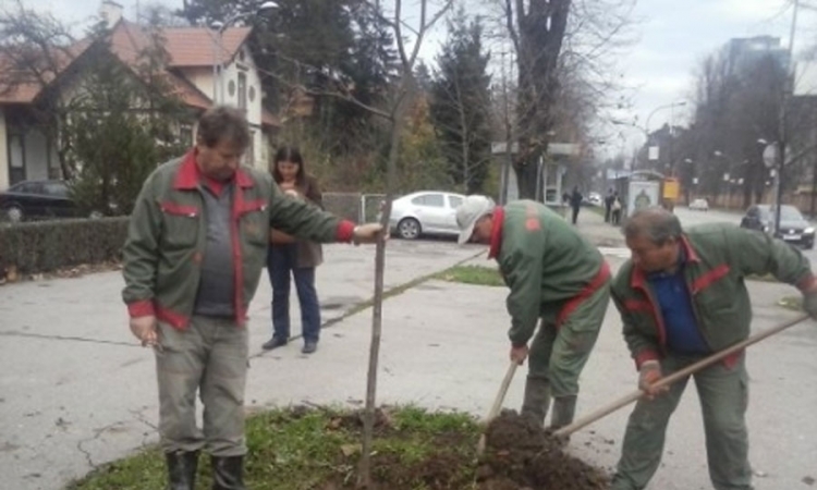 Novo zelenilo u Banjaluci