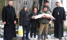 Pečenice za najsiromašnije