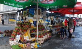 Aranžmani od jedne do 15 maraka