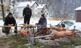 Ni snijeg nije omeo sječu badnjaka i pečenje pečenica