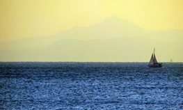 Nagrađen Muzej evropskih i mediteranskih civilizacija