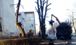 Odzvonilo suvim granama u Banjaluci