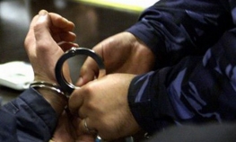 Pali zbog prostitucije i šverca kamagre