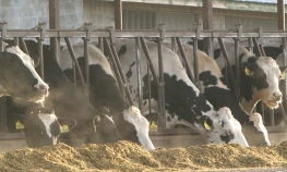 Sredstvima IRB-a izgradnja nove farme