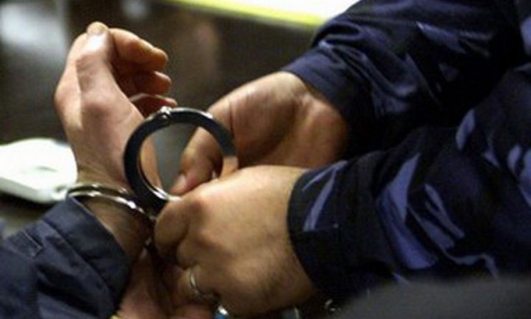 Pali zbog prostitucije i šverca kamagre