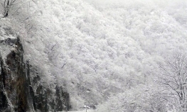Sela drugi dan bez struje