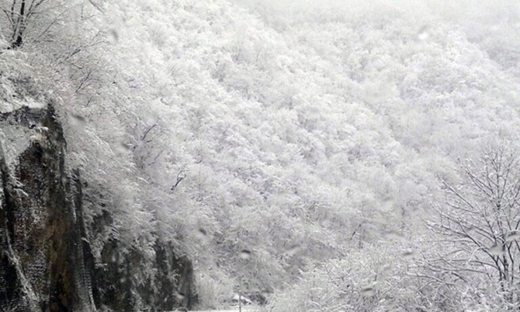 Sela drugi dan bez struje
