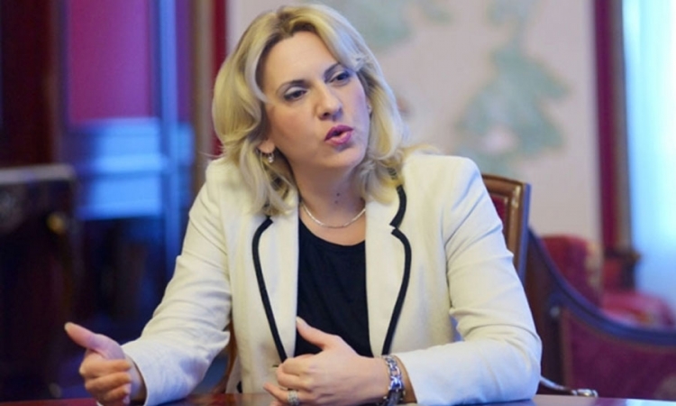 Cvijanović: Odgovor kritičarima Zakona o javnom redu i miru