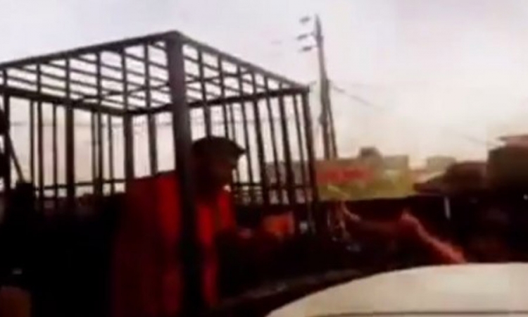 Islamska država objavila video: Zatvorenike prevoze u kavezima