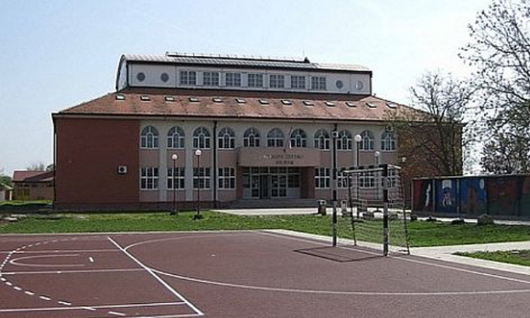 Misterija Šajkaš i zvanično riješena: Đaci "kolektivno histerični"