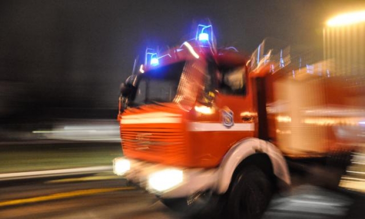 Psi spasili majku i djecu od požara