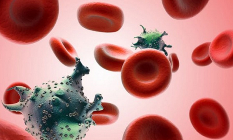 Senzacionalno Otkriće: Istoričar otkrio kako je zapravo počela epidemija AIDS-a