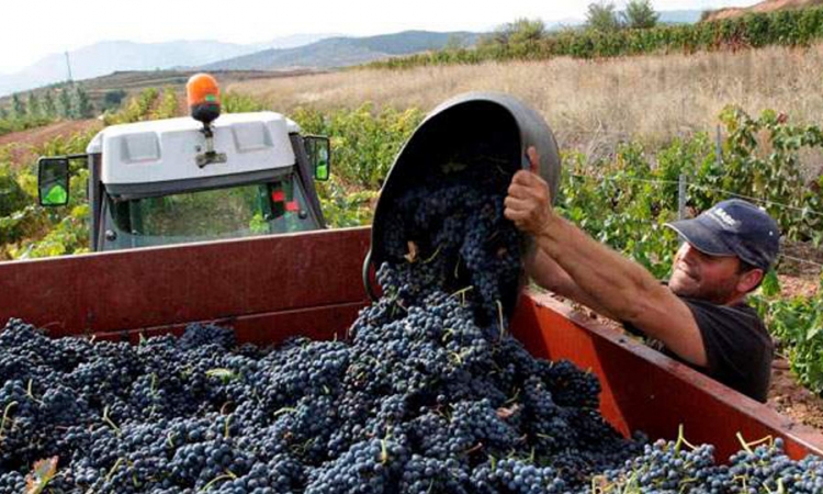 Ostavljen prostor za dogovor vinara