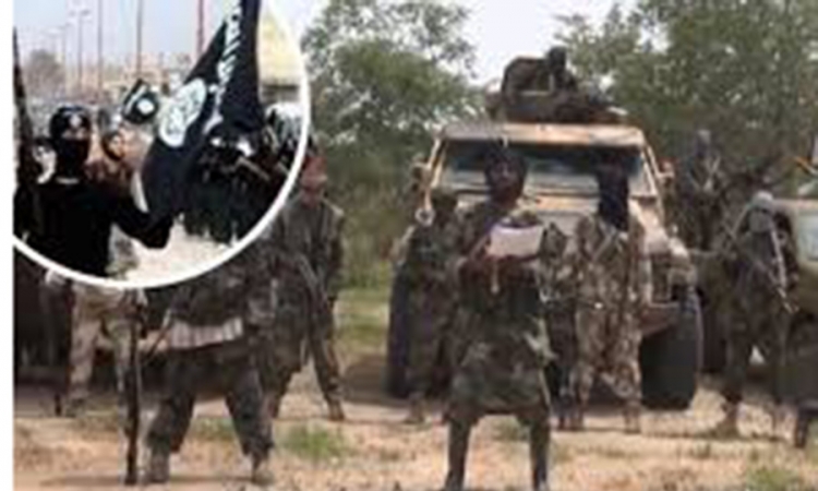 Boko Haram i IDIL planiraju napraviti savez?