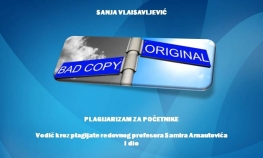 Sud uvažio dokaze Sanje Vlaisavljević