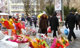 Ulice Sarajeva i Zenice ispunjene cvijećem