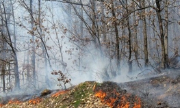 Požar u trebinjskom naselju Gučina
