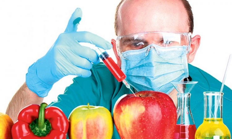 Države mogu da zabrane GMO usjeve