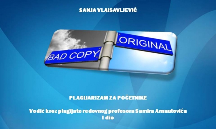Sud uvažio dokaze Sanje Vlaisavljević