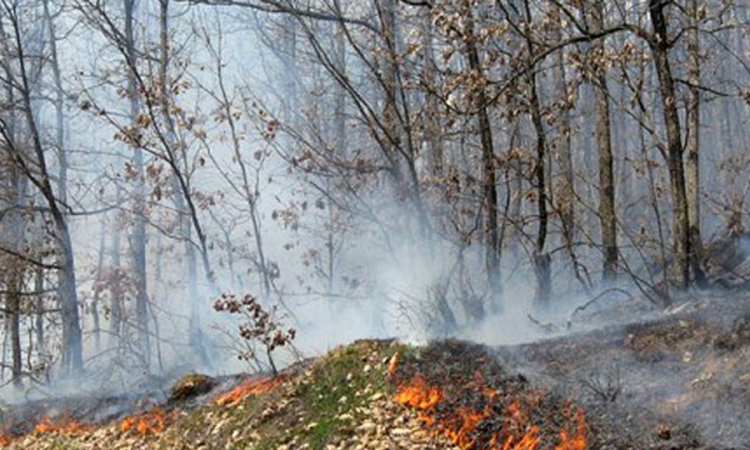 Požar u trebinjskom naselju Gučina