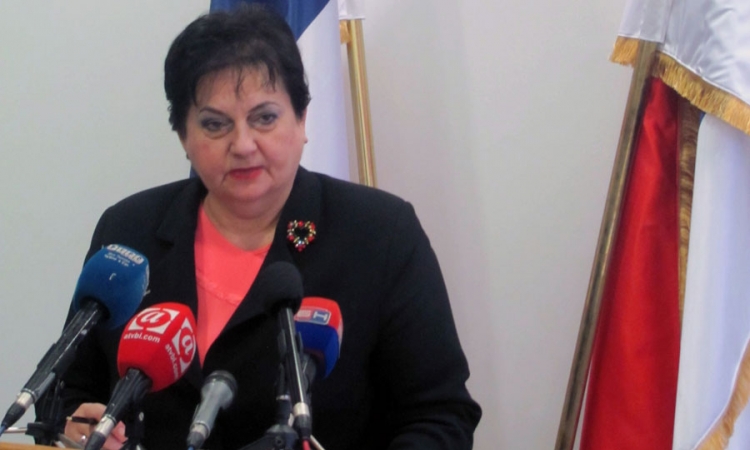 Majkić: Bez zakona nema knjiženja    